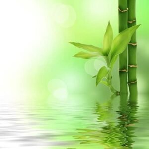 Crédence Baignoire Bambou