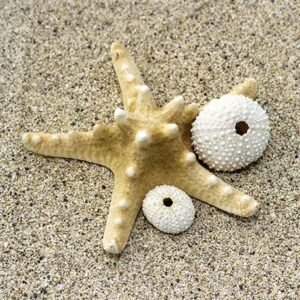 Crédence Salle de Bains Détente