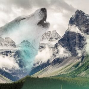 Crédence Douche Mountain Wolf