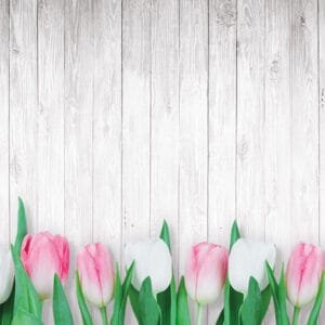 Crédence Salle de Bains Tulipes Shabby Chic