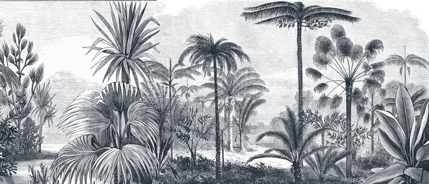 Décor Gravure végétale